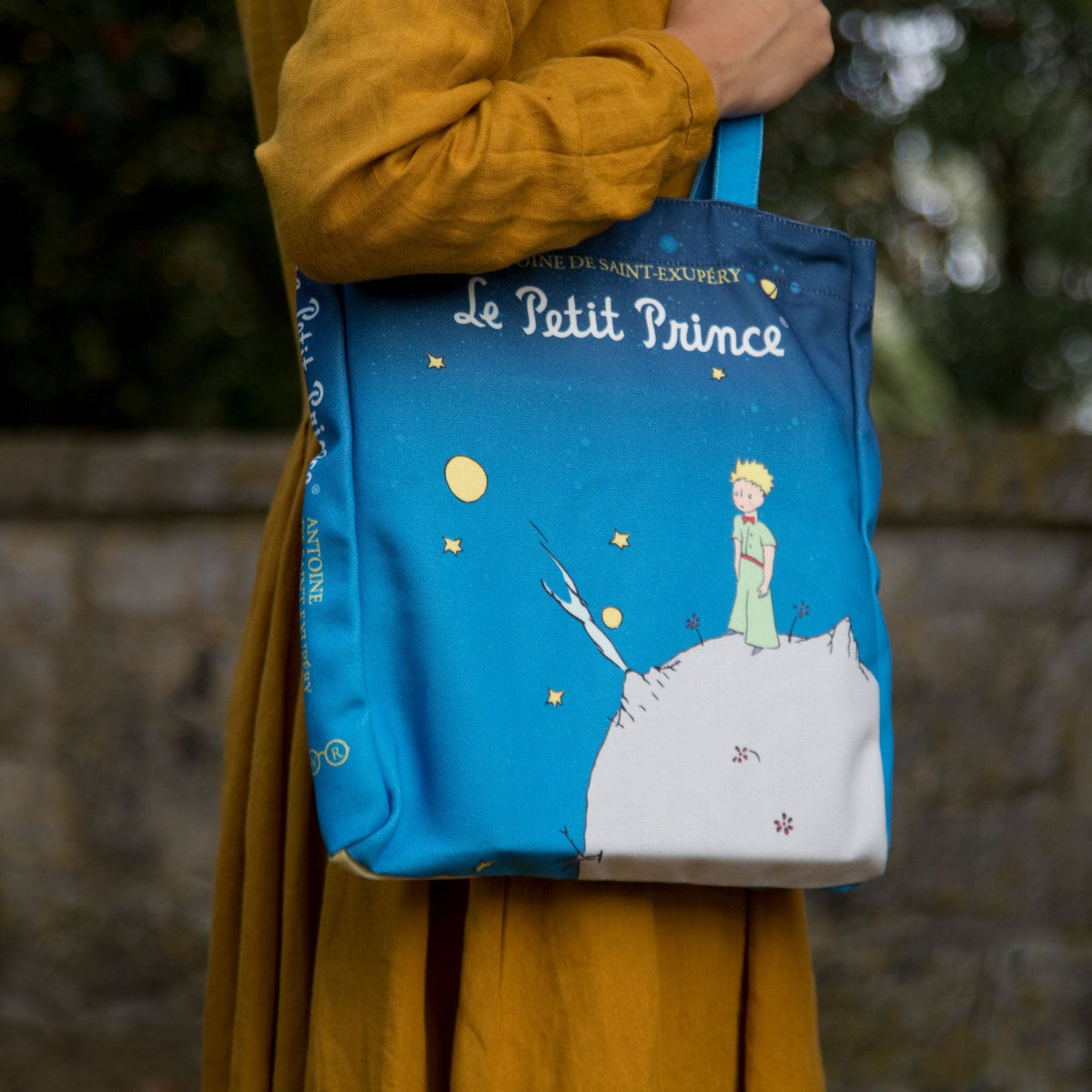 The Little Prince Tote Bag – Well Read Company – Well Read Company USA